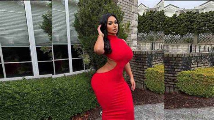 
Carmela Habibi Height, Weight, Net Worth, Age, Birthday, Wikipedia, Who, Nationality, Biography 