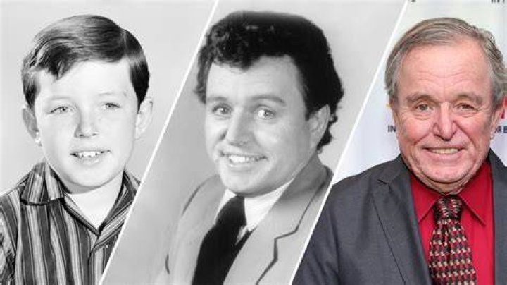 Who Is Actor Mark Murray From Leave It To Beaver? Where Are The Series Cast & Crew Today?